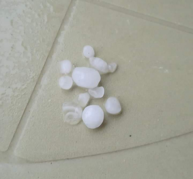 Krúpy na košickom sídlisku KVP: foto: Janka Sanislová