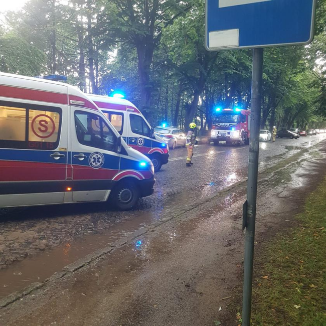Muži sa chceli pred dažďom skryť pod stromom, udrel však blesk, zdroj: KPPSP Puck