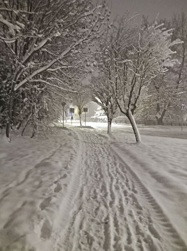 zdroj: Hania Michalik