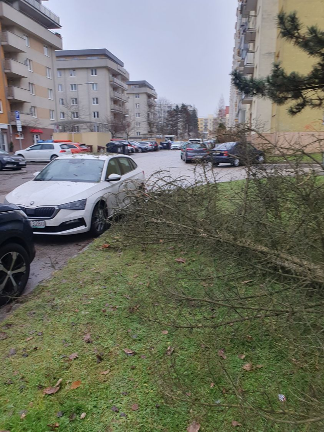 foto: Tomáš Martinek/Dopravný servis - okres Žilina