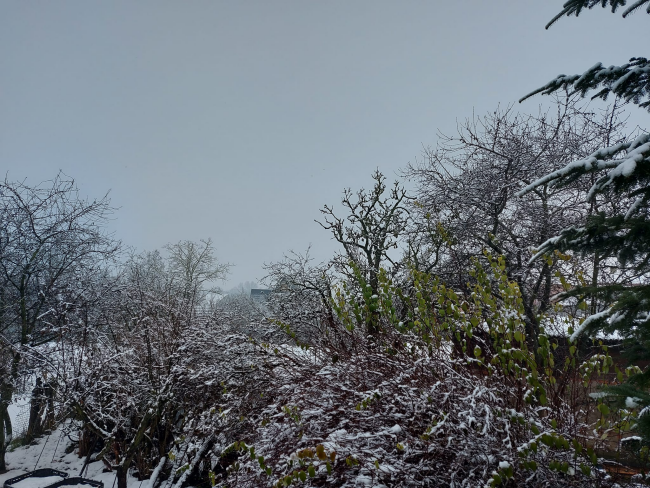 foto: BeaTa Ileninova