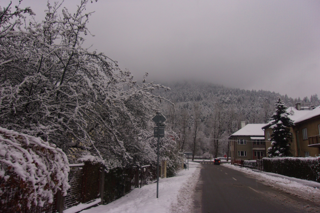 foto: Zlatica Kvietková