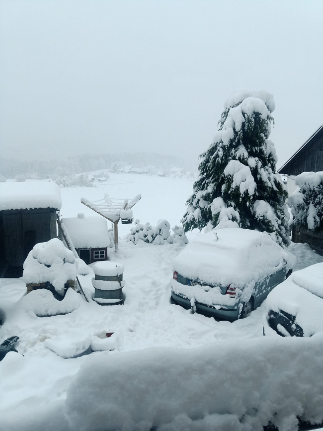 foto: Martina Kysucká