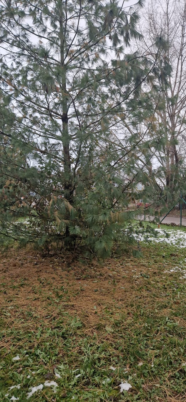 foto: Patrik Podolák