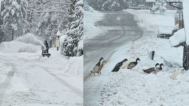 FOTO: Slovensko zasypal sneh. Pozri si rozprávkovo zimnú krajinu, kde napadlo až 40 cm