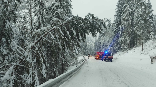 Sneženie zasiahne sever a Malé Karpaty. Môžu sa lámať konáre, padať bude ťažký sneh, inde čakajte lejak