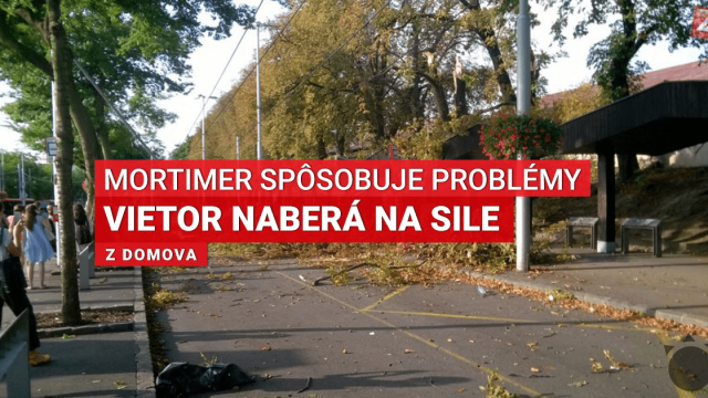 Silný vietor v Bratislave vyvracia stromy. MHD je odklonená