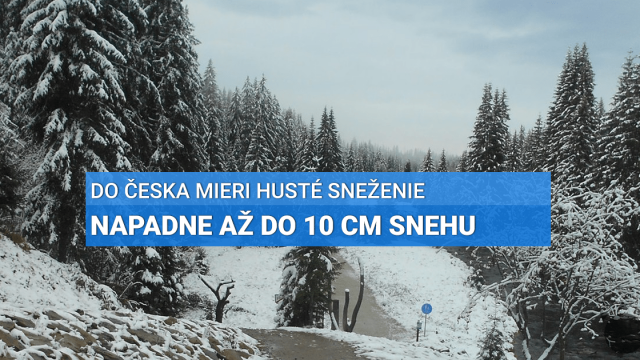 Dnes večer dorazí do Česka husté sneženie. Napadne do 10 cm