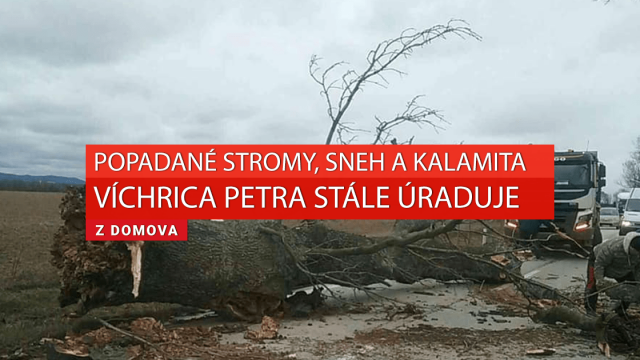 Vyhlásili kalamitu: Úraduje víchrica Petra a silné sneženie