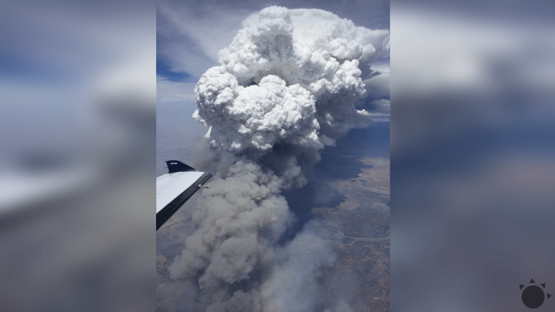 foto: Meteorologist Damon Lane