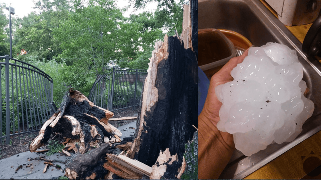 FOTO: Obrovské krúpy v Arkansase. Mali cez 10 centimetrov