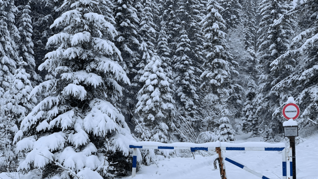 Ochladenie je na dosah a snežiť bude aj v nižších polohách
