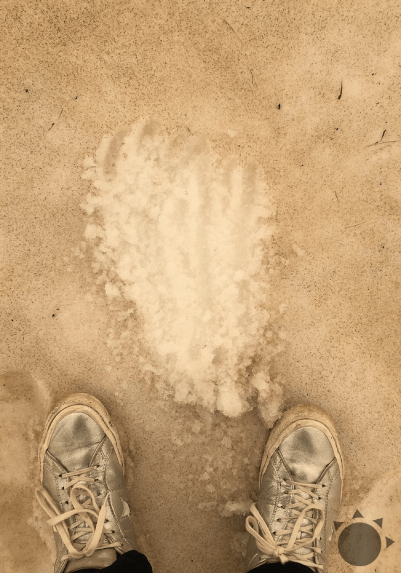 foto: REY/7NEWS.com.au