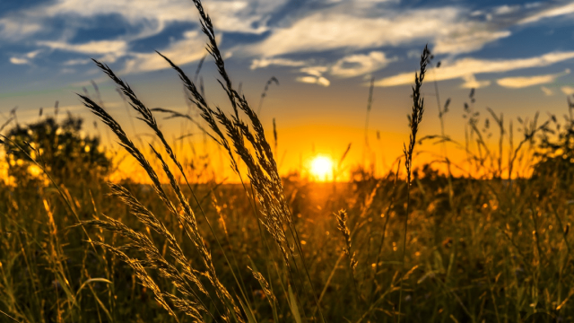 Teploty až do +25 °C. Pred nami je letné počasie