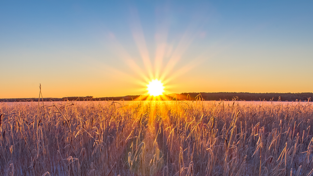 Aké počasie prinesie sobota? Zima si dáva pauzu a začína k nám prúdiť teplý vzduch