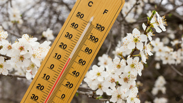 Do našej oblasti nakukla jar. Teploty poskočili na +13 °C