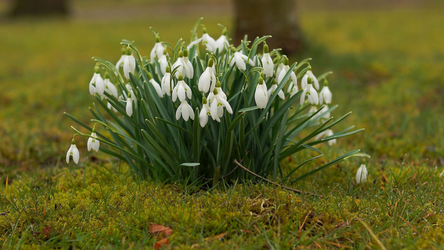 Počasie v utorok: Dnes bude oblačno, ale teploty budú stúpať aj nad +10 °C