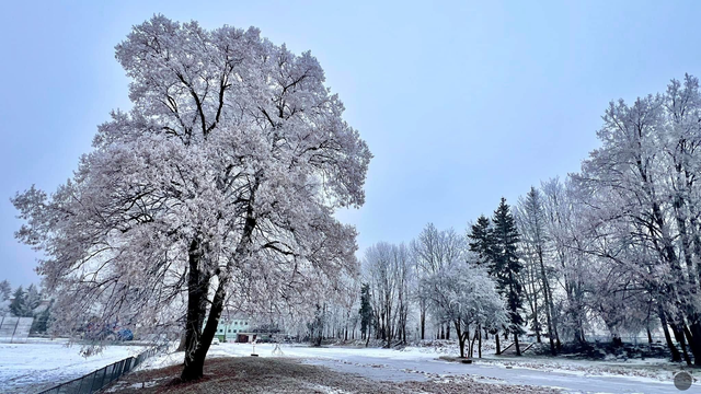 Zima na Slovensku pred 96 rokmi bola krutá. Vo Vígľaši sme namerali -41 °C
