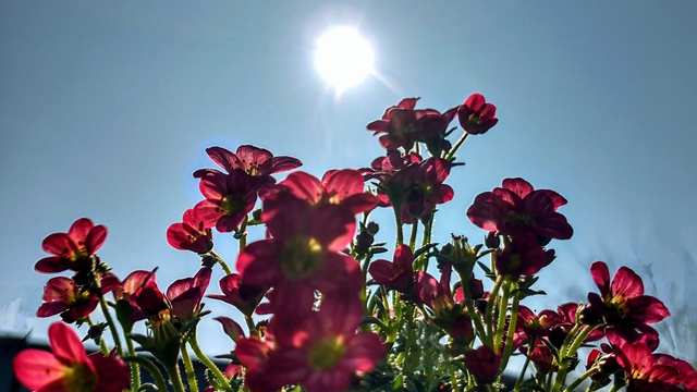 Slovensko má za sebou ďalší slnečný a teplý deň. Už čoskoro dorazí zmena
