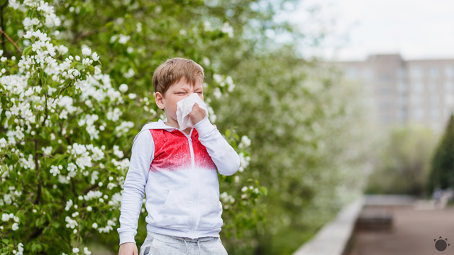 Teplé počasie odštartovalo peľovú sezónu. Na čo si musia dať alergici pozor v týchto dňoch?