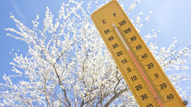 Veľmi teplé počasie v našej oblasti: Teplotné rekordy padli na polovici staníc, atakovali +20 °C