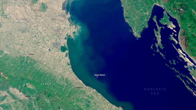 Dovolenky v ohrození? Pobrežie Jadranu sa sfarbilo dozelena