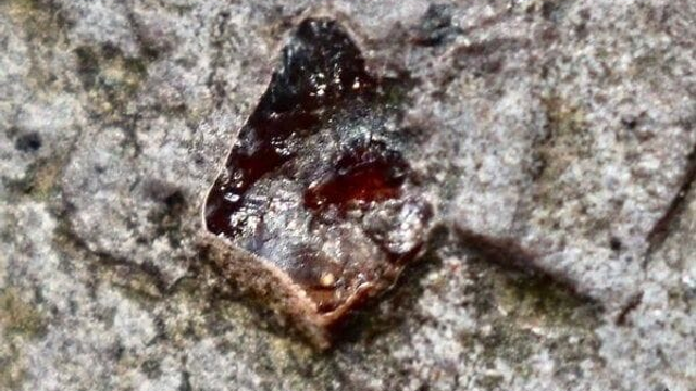 Na juhu Slovenska našli rekordne veľký drahokam. Je najväčší v celých Karpatoch