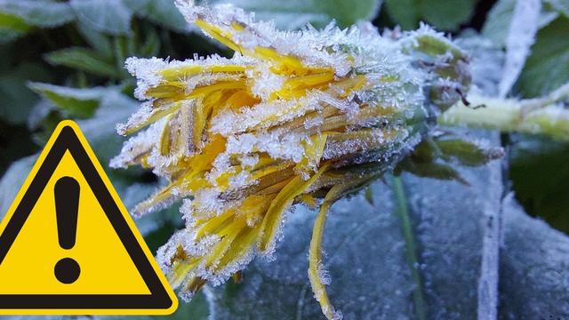 VÝSTRAHA: Prvé mrazy na Slovensko dorazili, ďalšia noc bude ešte mrazivejšia