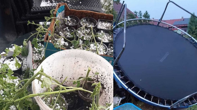 Poškodené stromy, rastliny, zničený altánok. Krúpy všetko pobili