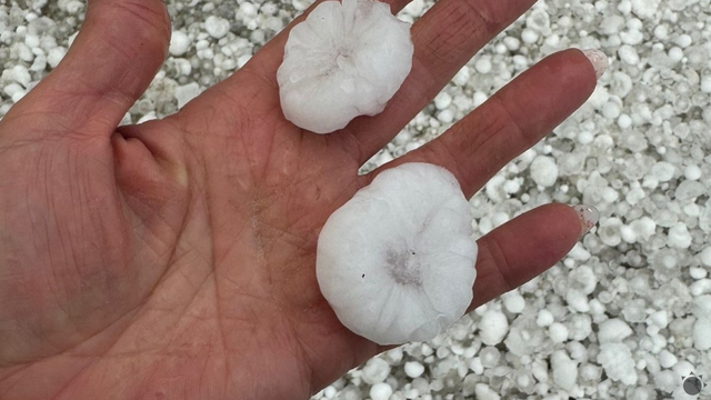 A je po úrode! Krúpy zdevastovali polia a zničili úrodu. Skaza je obrovská