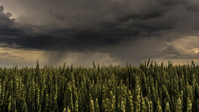 V Česku dnes hrozia veľmi silné búrky. Majú potenciál páchať škody