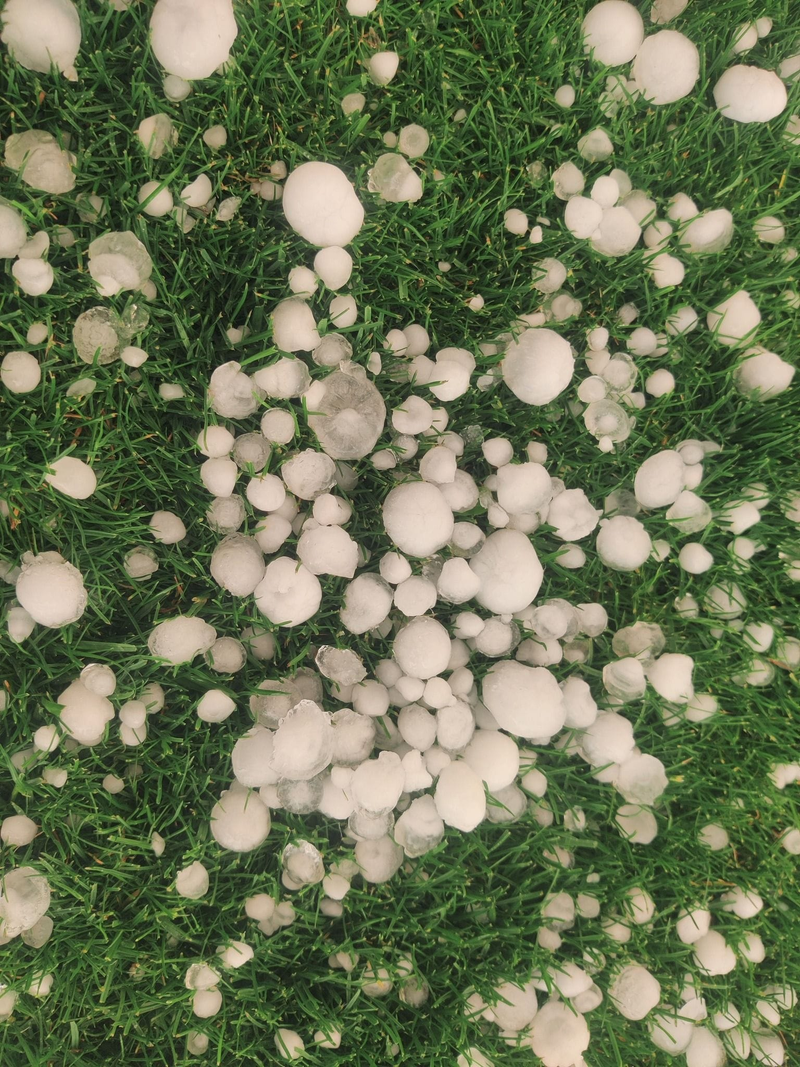 Dolní Bousov, zdroj: Tereza Pechánková