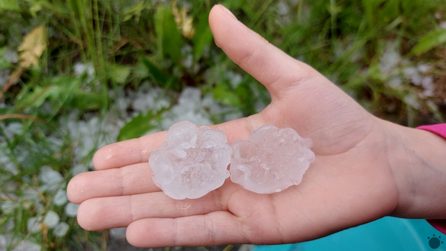 FOTO: Búrky priniesli 3 cm krúpy, ktoré pomlátili zeleň a úrodu