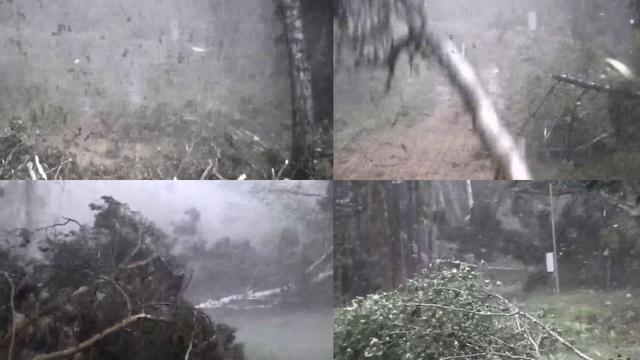 VIDEO: Hrôzostrašné zábery z lesa ukazujú spúšť, ktorú napáchala búrka