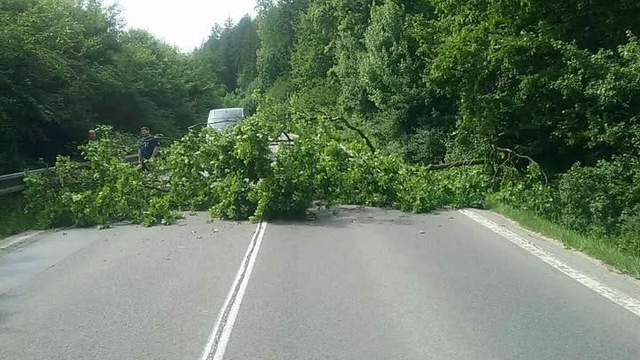 SPÚŠŤ po búrke: Nočná búrka polámala a vyvrátila stromy v celom kraji