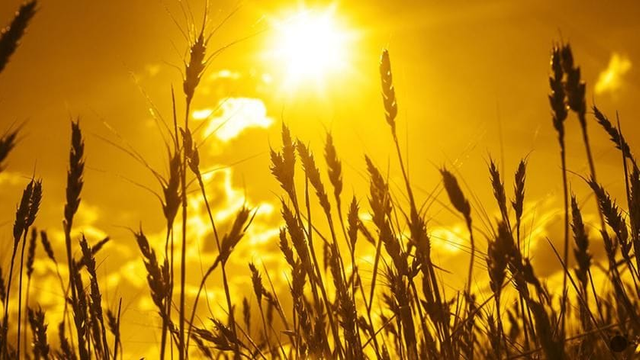 Počasie teraz poteší. Predpoveď však opäť avizuje búrky