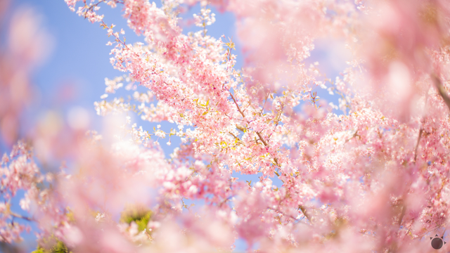 Jar 2025 na Slovensku prepisovala rekordy. Problémom je zhoršujúce sa sucho