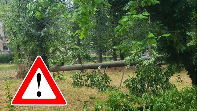 Búrky dnes môžu páchať škody: Na Slovensku sa zdvihne silný vietor