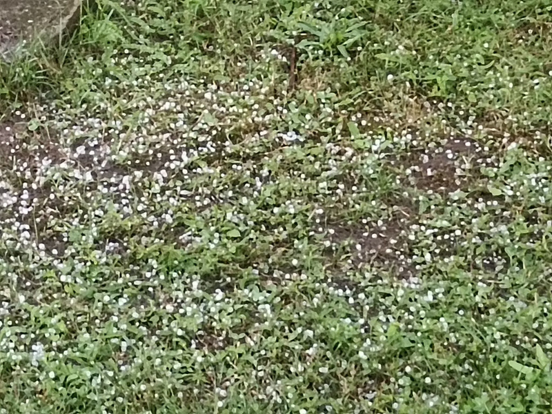 Plavecký Mikuláš. Foto: P. Sýkora