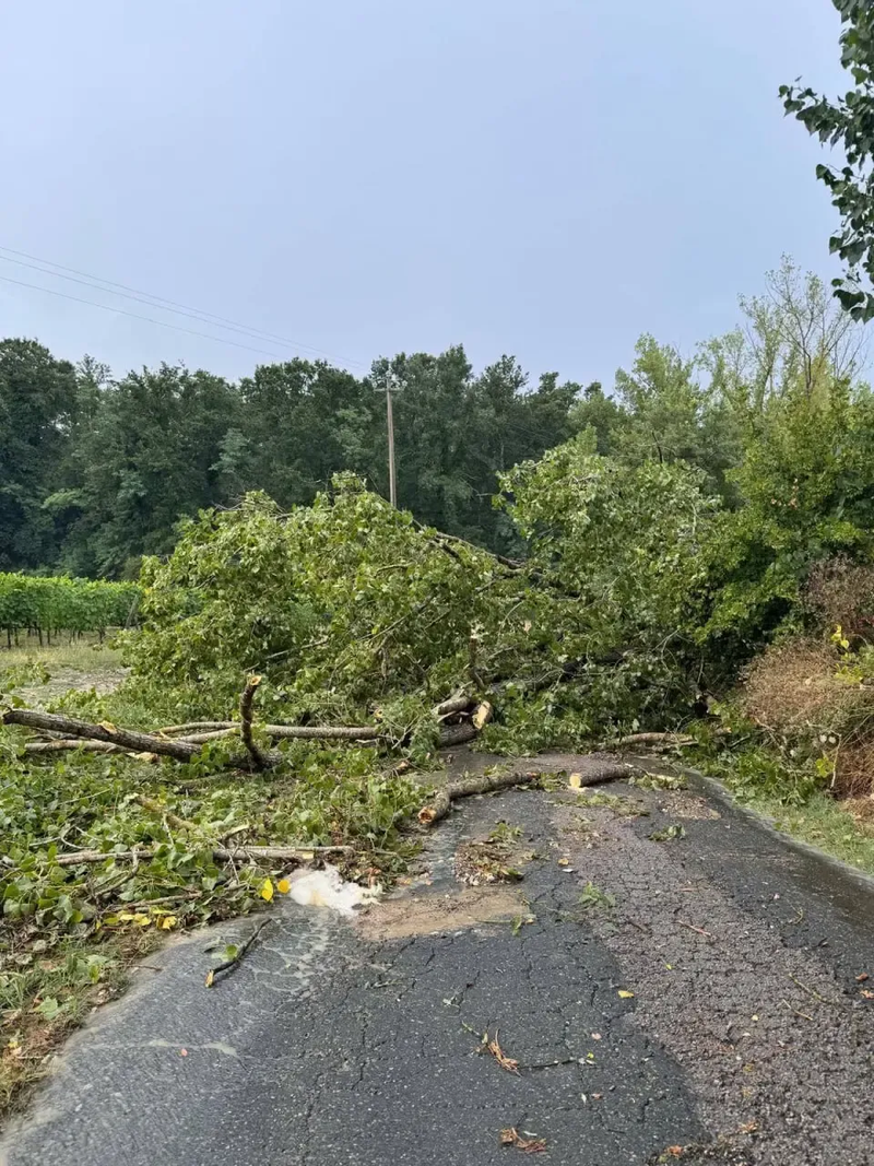 Popadané stromy v Toskánsku, foto: Meteo Web