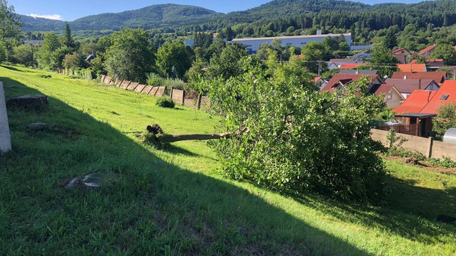 Veterná smršť zasiahla Handlovú. Vyvrátilo niekoľko stromov a mesto upratuje