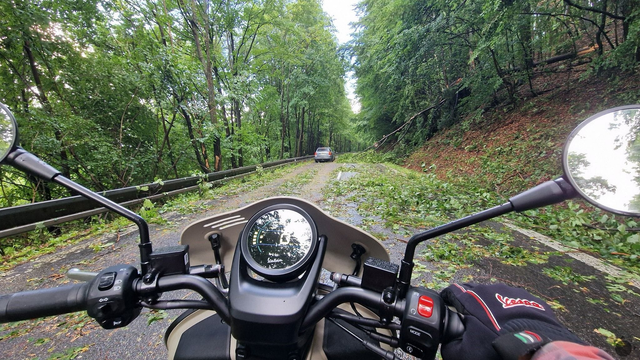 Vyvrátené stromy, zablokované cesty. Supercela napáchala spúšť