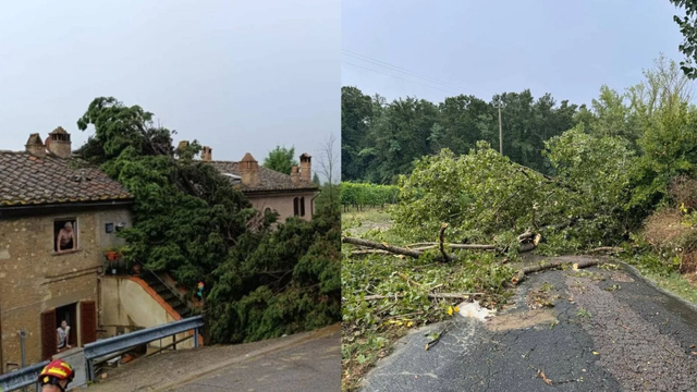 Padajú stromy, krúpy pokrývajú ulice. Búrky sa blížia ku Slovensku