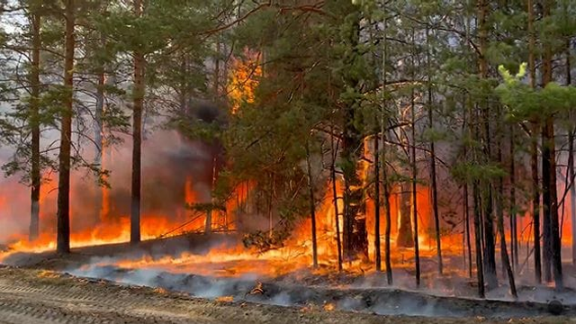 Sucho a lesné požiare sa stávajú v strednej Európe novou normou