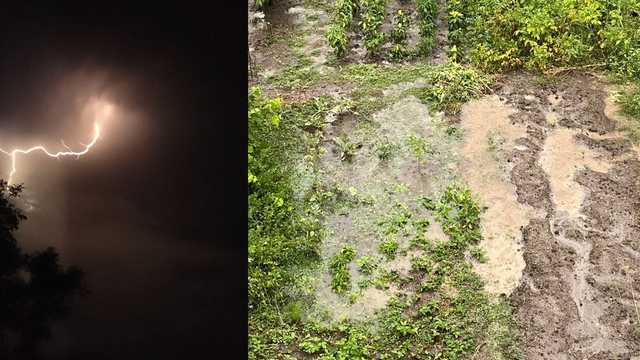 Na juhu stredného Slovenska neprestáva pršať, dážď už vytápa záhrady