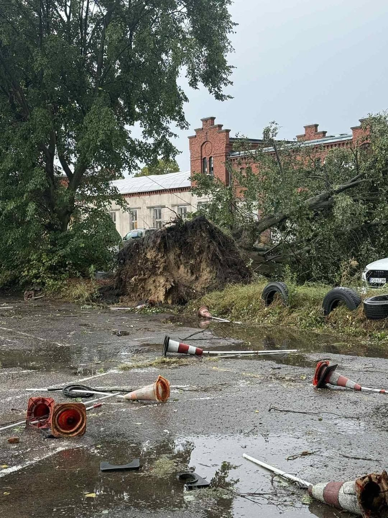 zdroj: Sylwia Wojtaszewska