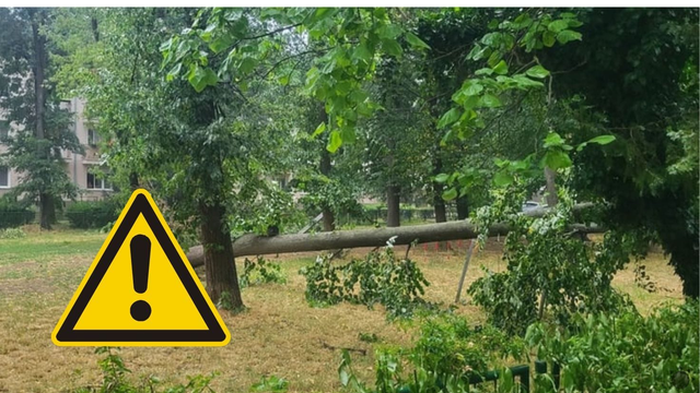 Pozor: Po dažďoch prichádza silný VIETOR