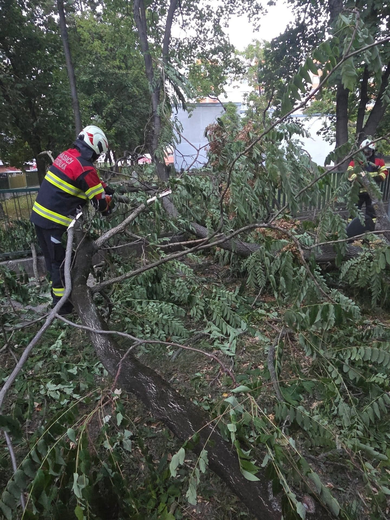 zdroj: DHZO Bratislava - Petržalka