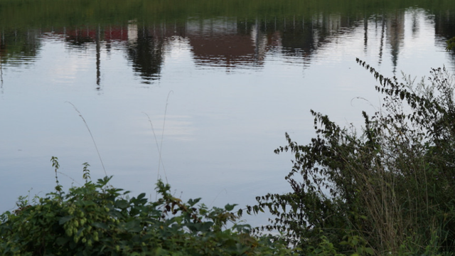 Havarijný stav na Považí. Zaznamenali hromadný úhyn rýb