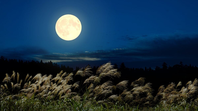 Nenechajte si ujsť augustový SPLN: Priať nám bude aj počasie